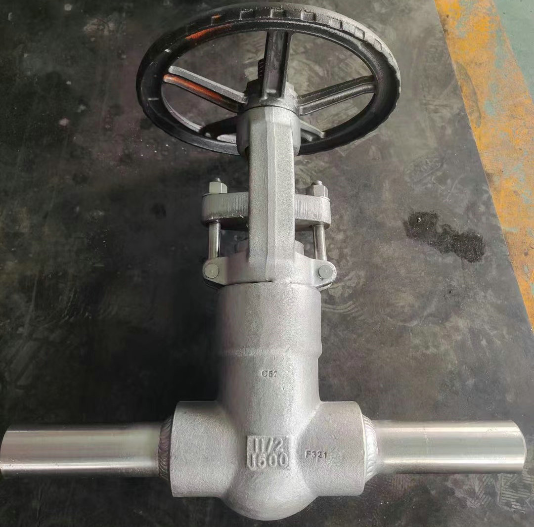 鍛鋼延長閥體閘閥高清實(shí)物圖片 鍛鋼延長閥體閘閥高清實(shí)物圖片