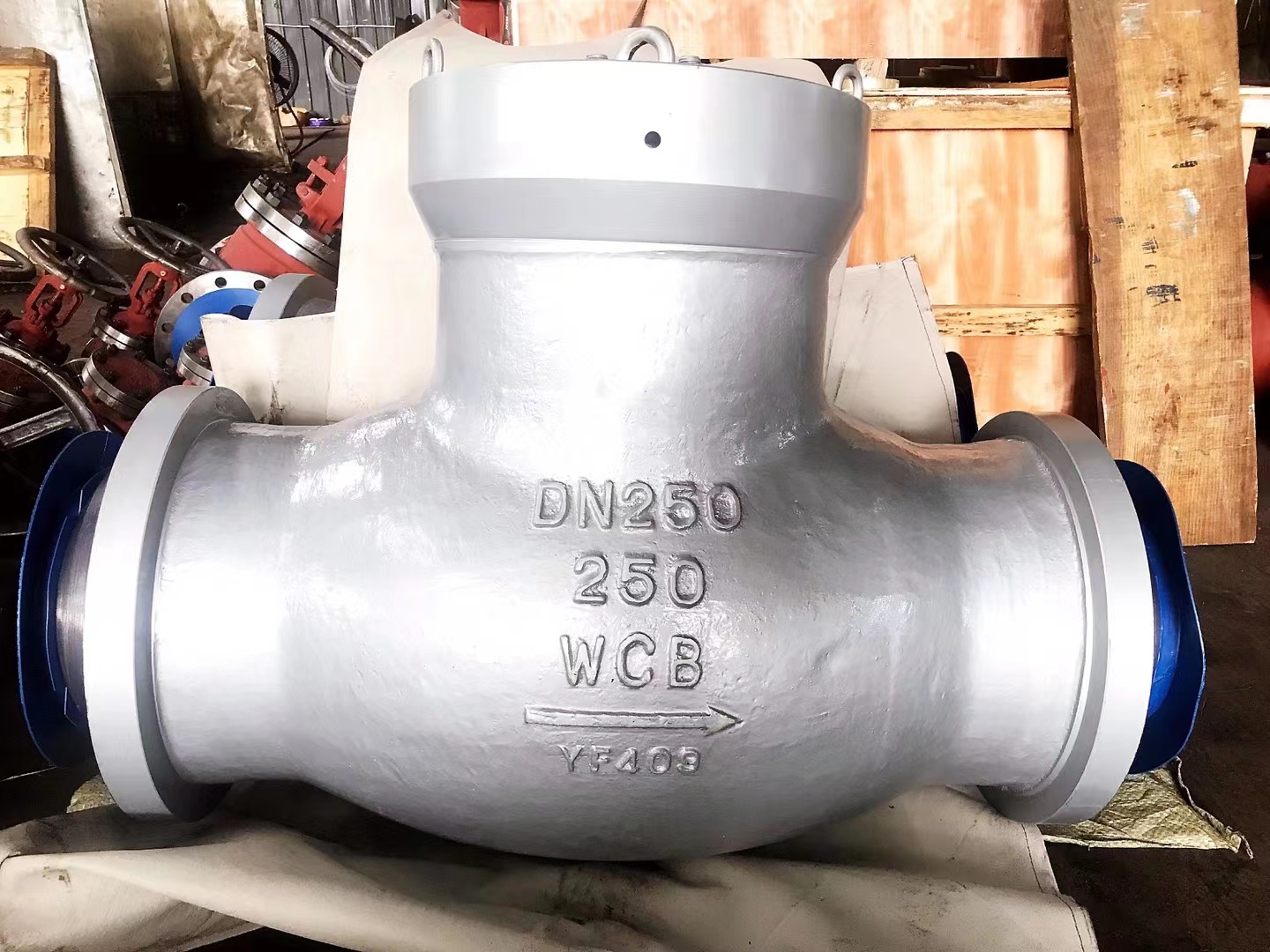 高溫高壓止回閥實(shí)物圖 高溫高壓止回閥實(shí)物圖